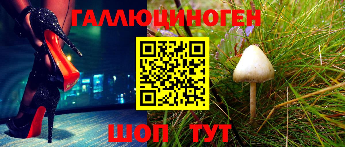 Саранск  Галлюциногенные грибы прущие грибы  Вход с VPN 